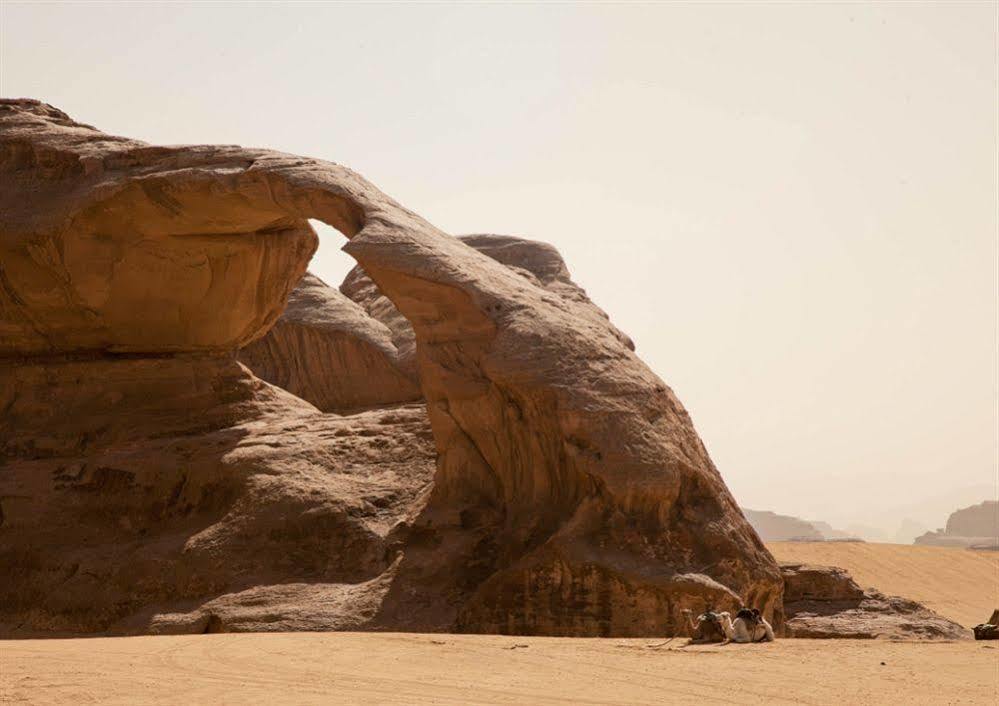 Wadi Rum Caravan Camp Dış mekan fotoğraf